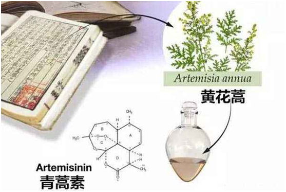 易游注册网(中国区)首页,：向中医药看齐，与世界共享中医药文化(图1)